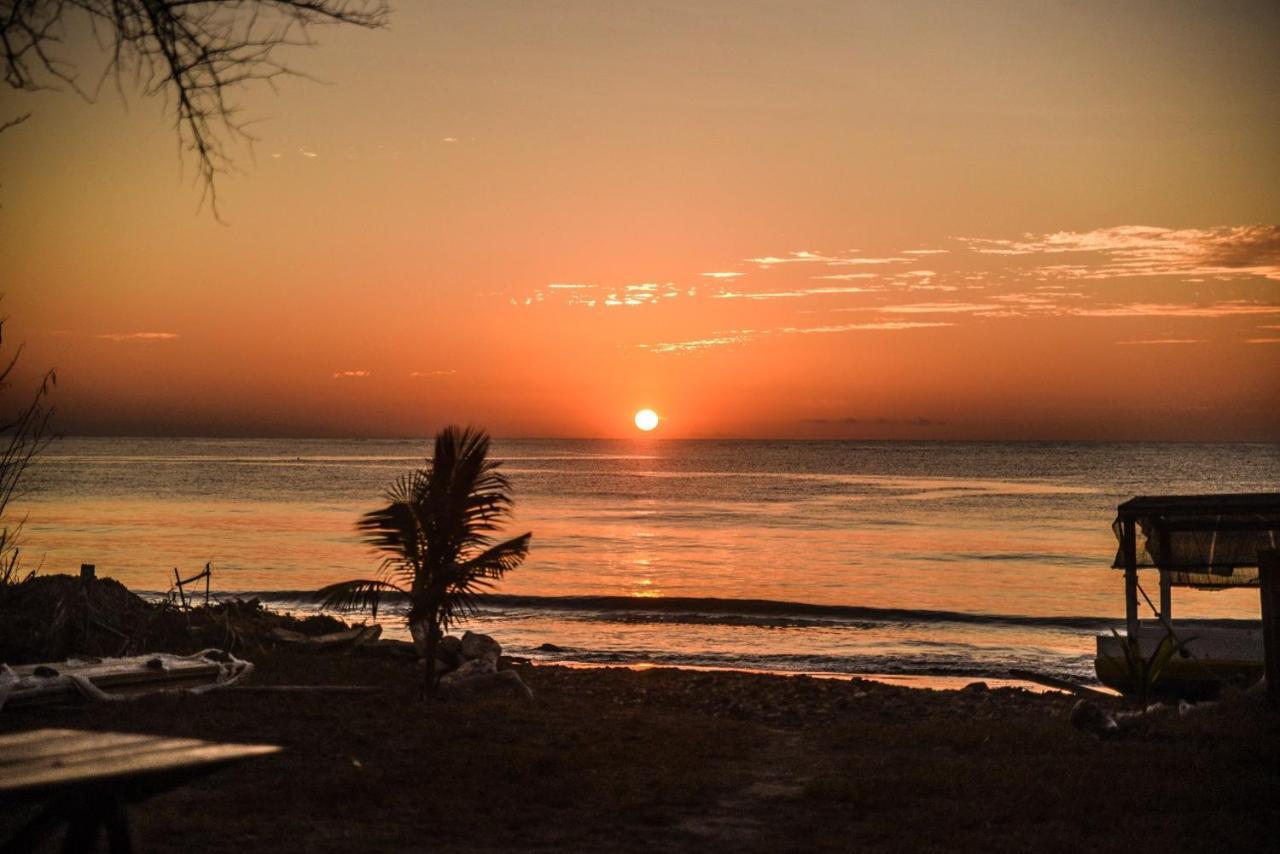 Atauro Dive Resort Beloi المظهر الخارجي الصورة