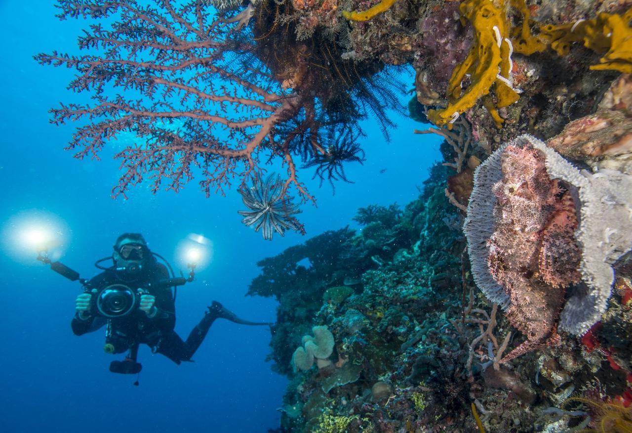 Atauro Dive Resort Beloi المظهر الخارجي الصورة